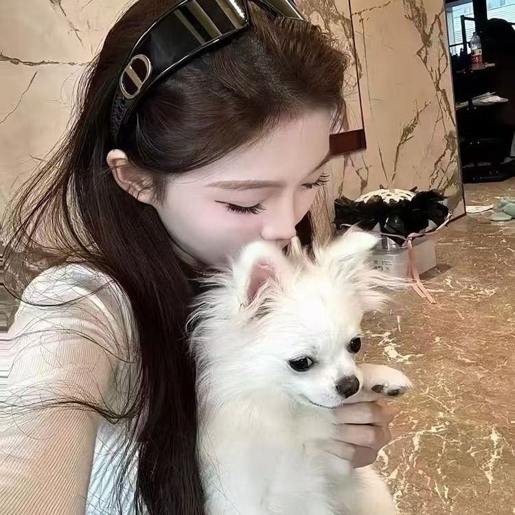 Sunglasses,no Box, SD20 183 - qinlai888