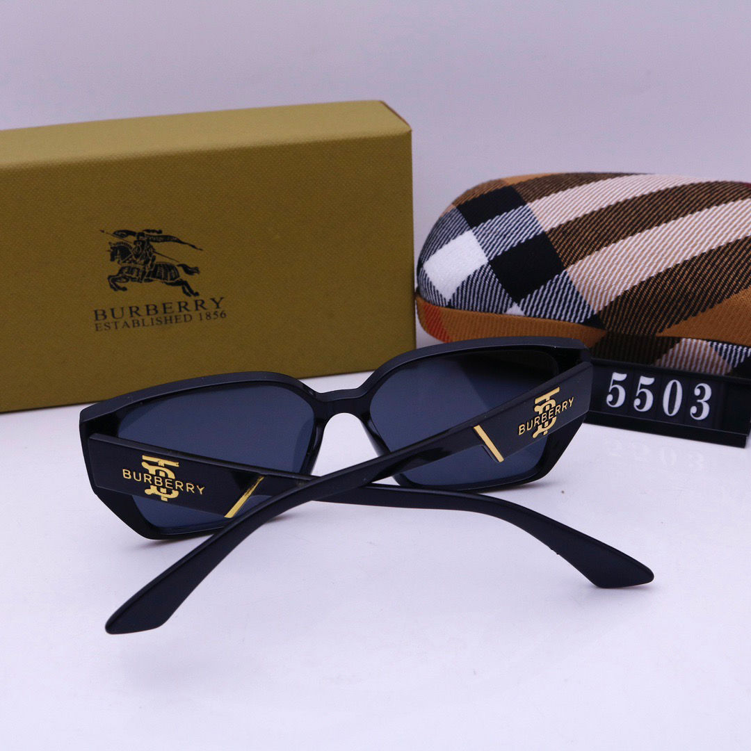Sunglasses with the Box, S*B26-5503 434 435 436 437 438 - qinlai888