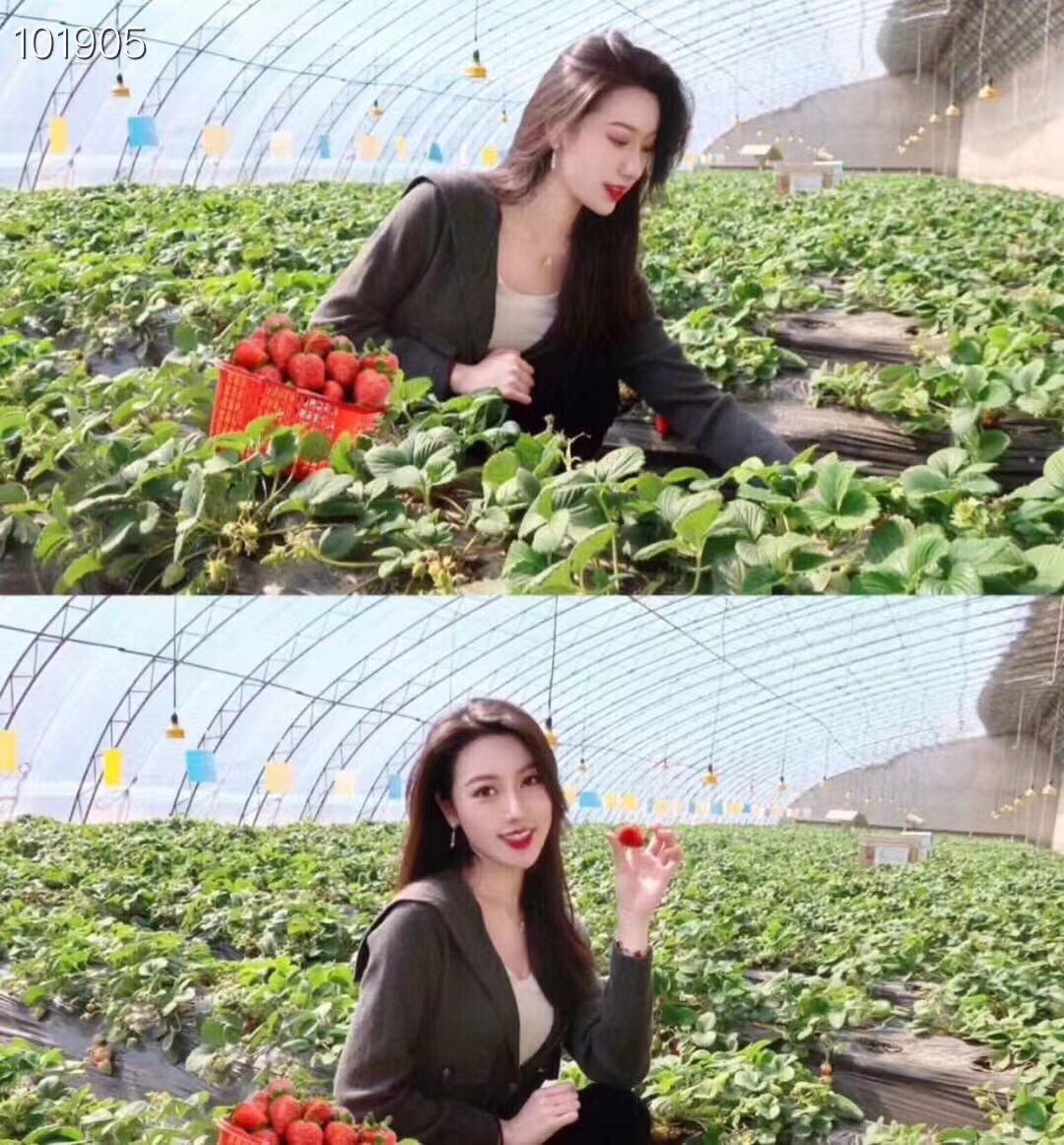 Earring jewelry, no box, JC17 2872 - qinlai888