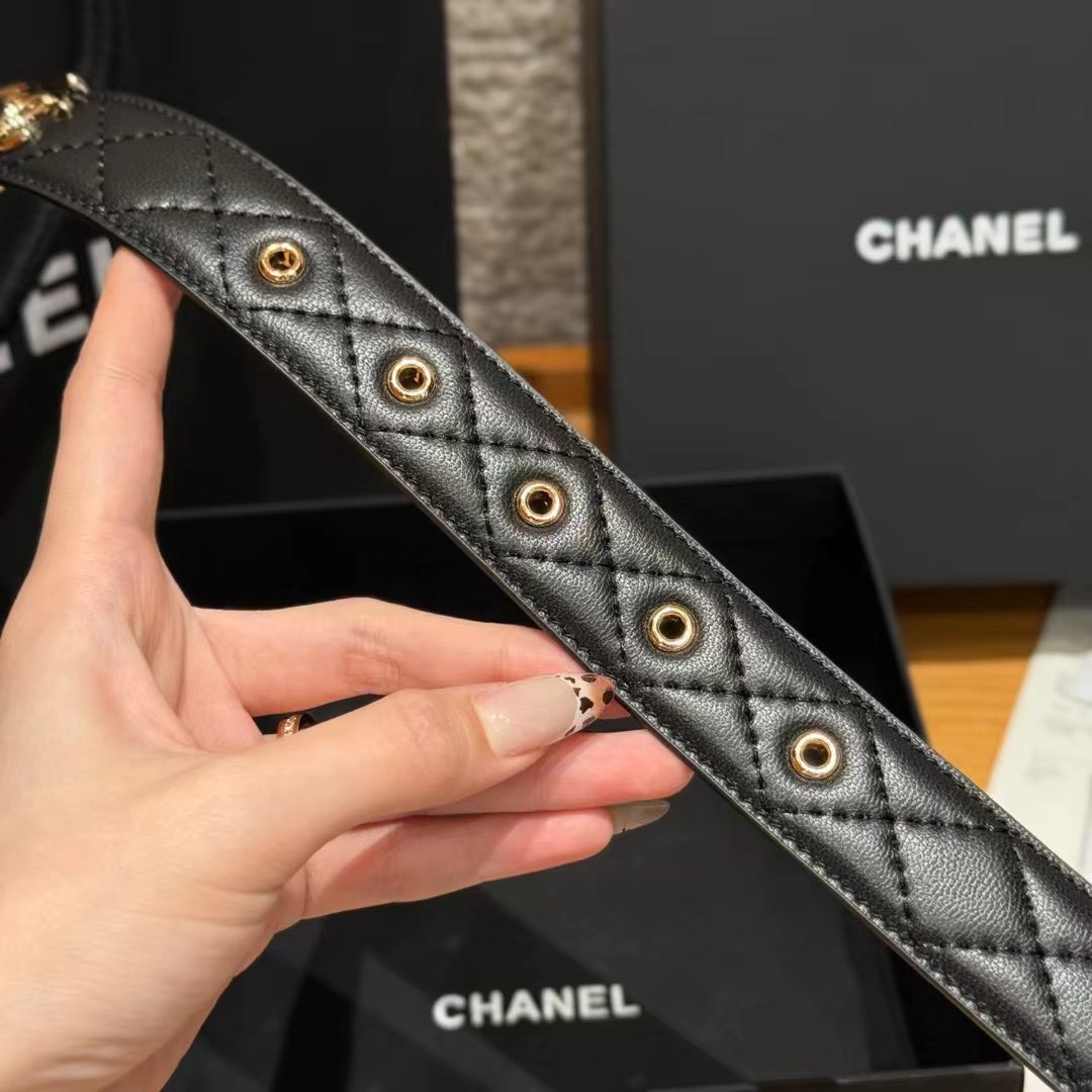 AAAA quality belt, 3.0cm wide, without box, CB60 244 - qinlai888