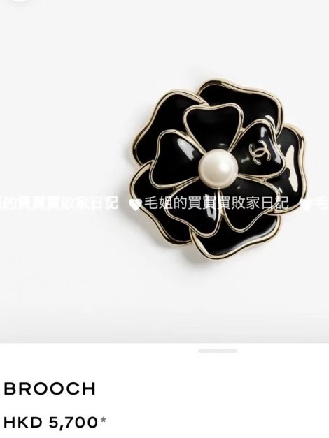 Brooch jewelry, no box, JC22 3955 3956 - qinlai888