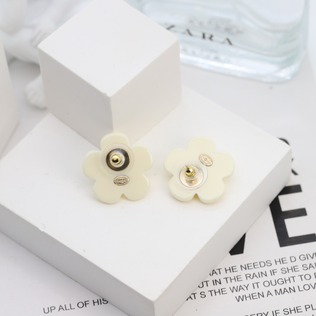 Earring jewelry, no box, JC21 4085 - qinlai888
