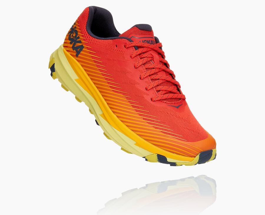 Men's Torrent 2