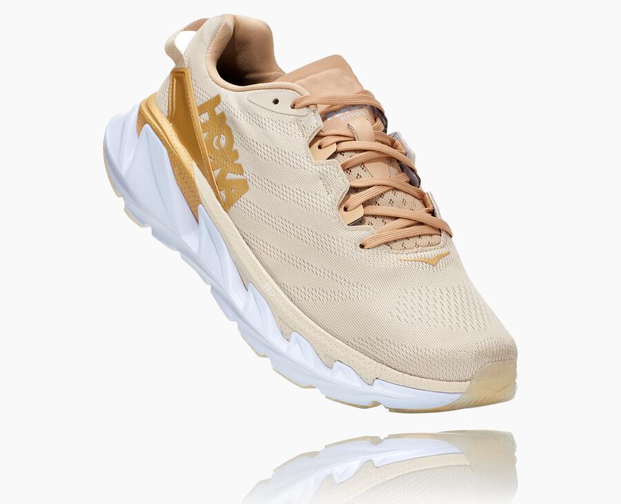 Men's Elevon 2