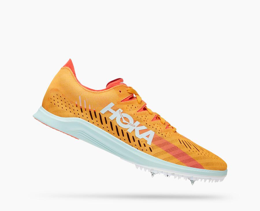 All Gender Cielo X LD