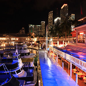 DIGIC 8 Image Processor, ISO 100&ndash;25600