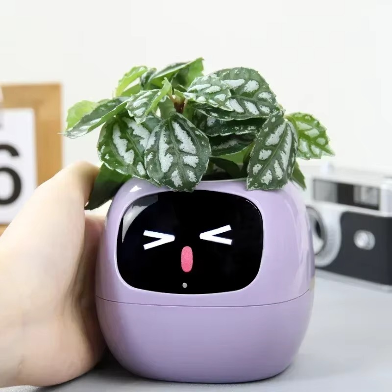 Exploring Smart Flower Pots: Revolutionizing Indoor Plant Care Methods