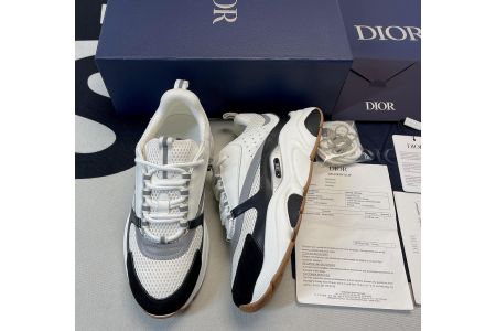DIOR B22 SNEAKER