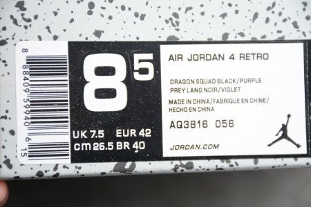 AIR JORDAN 4 RAPTORS