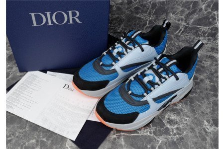 DIOR B22 SNEAKER