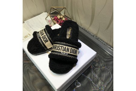Dior SlideS