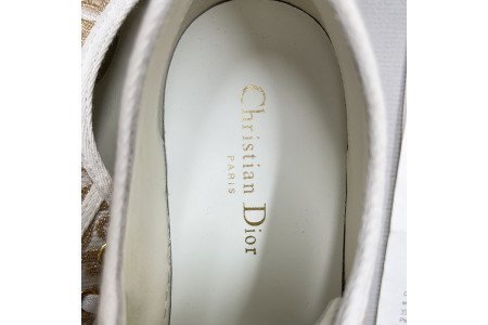 WALK’N’DIOR PLATFORM SNEAKER