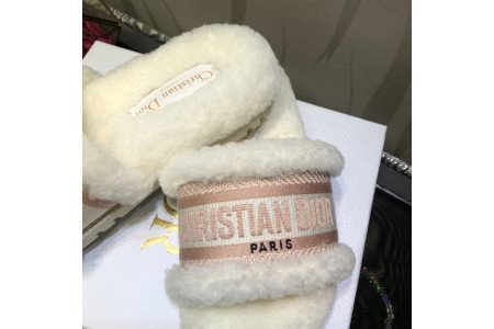 Dior SlideS
