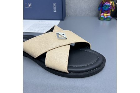 Dior SlideS