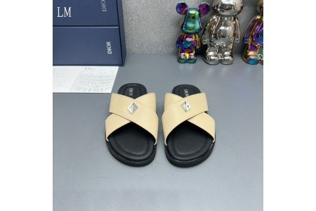 Dior SlideS