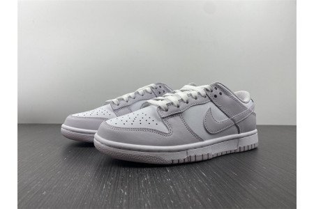 Nike Dunk Low Venice