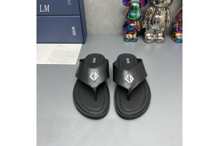 Dior SlideS