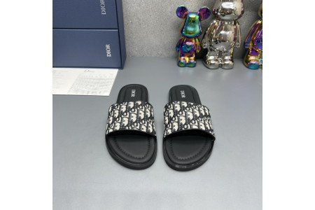 Dior SlideS