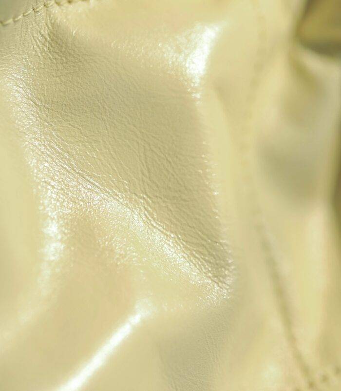 Chanel Mini 22Bag Bright face calfskin size: 19*20*6 cm