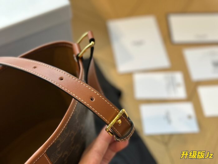 CELINE presbyopia bucket bag