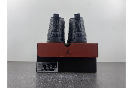 Air Jordan 12