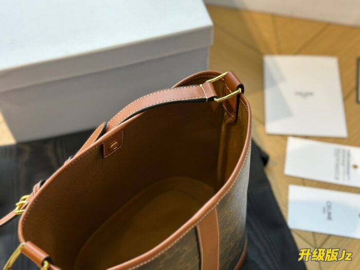CELINE presbyopia bucket bag