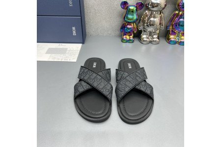 Dior SlideS