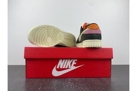 Nike Dunk Low Rainbow Trout