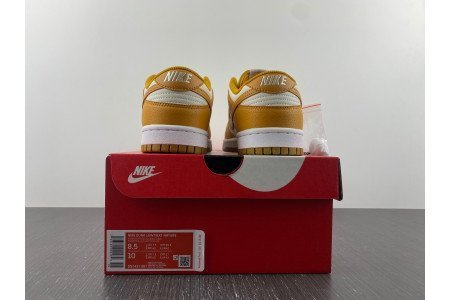 Nike Dunk Low Next Nature Phantom