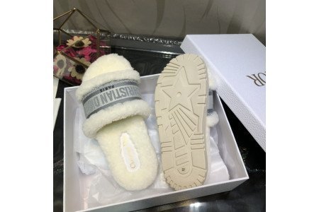 Dior SlideS