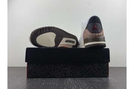 Travis Scott x Air Jordan 3 ?Palomino?