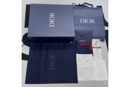 DIOR B27 SNEAKERS