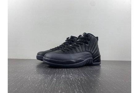 Air Jordan 12