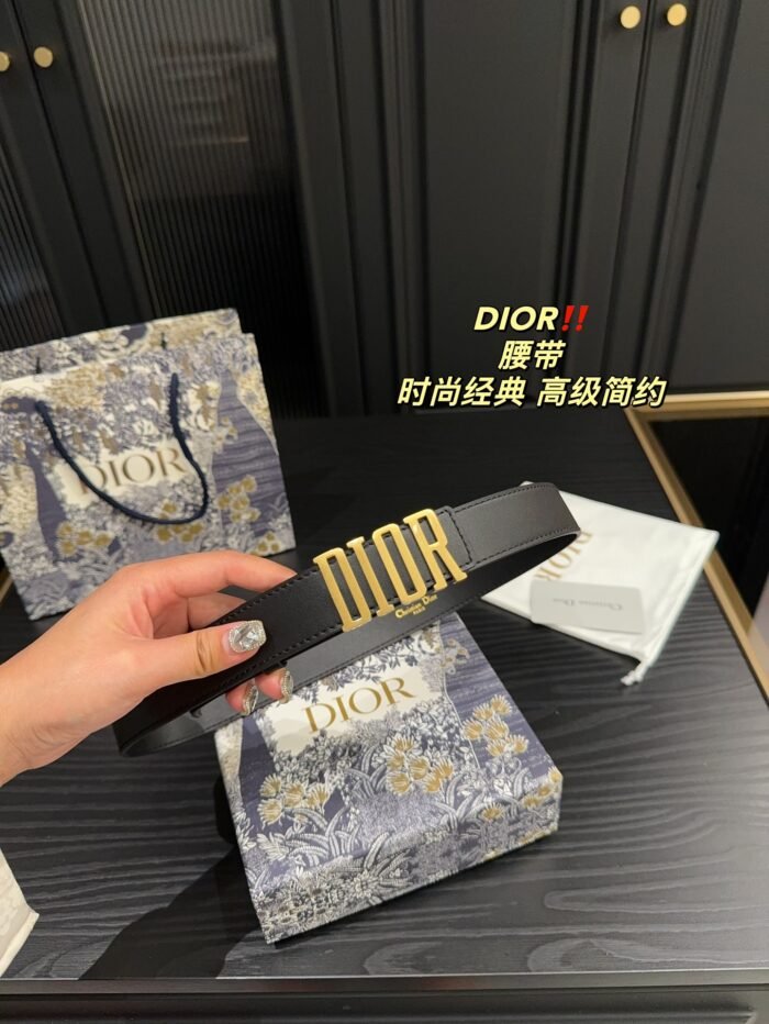 Dior All steel lead belt note the size and color when you fill shipping address