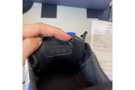DIOR B22 SNEAKER
