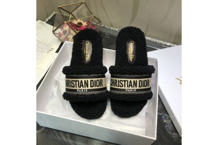 Dior SlideS