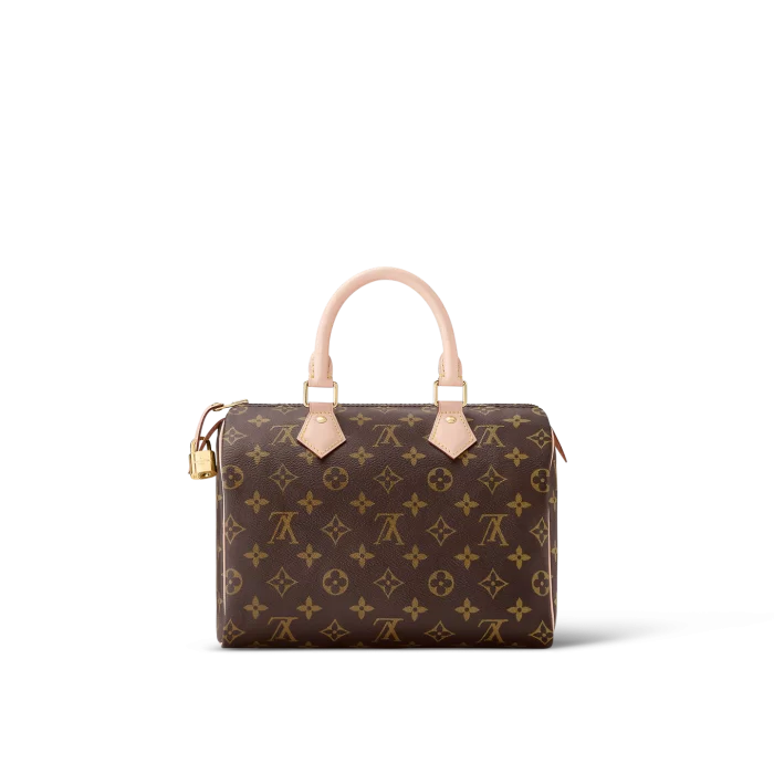 Louis Vuitton / LV Speedy 25 M41109