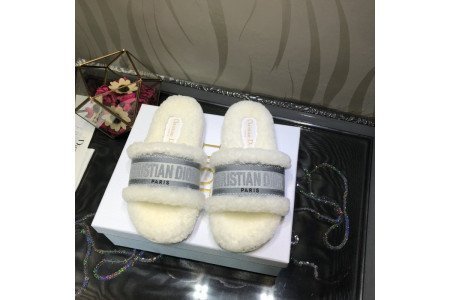 Dior SlideS