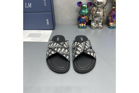 Dior SlideS