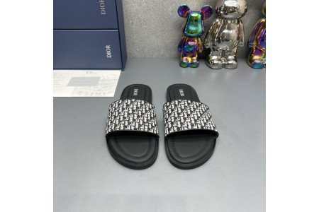 Dior SlideS