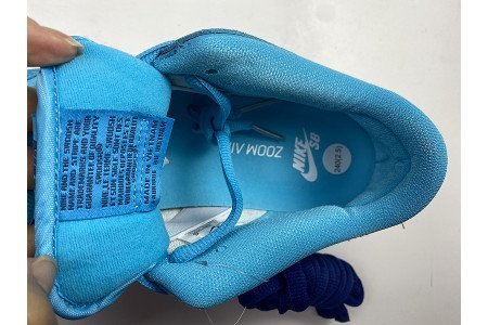 Nike Dunk  SB Low ?Blue Fury?