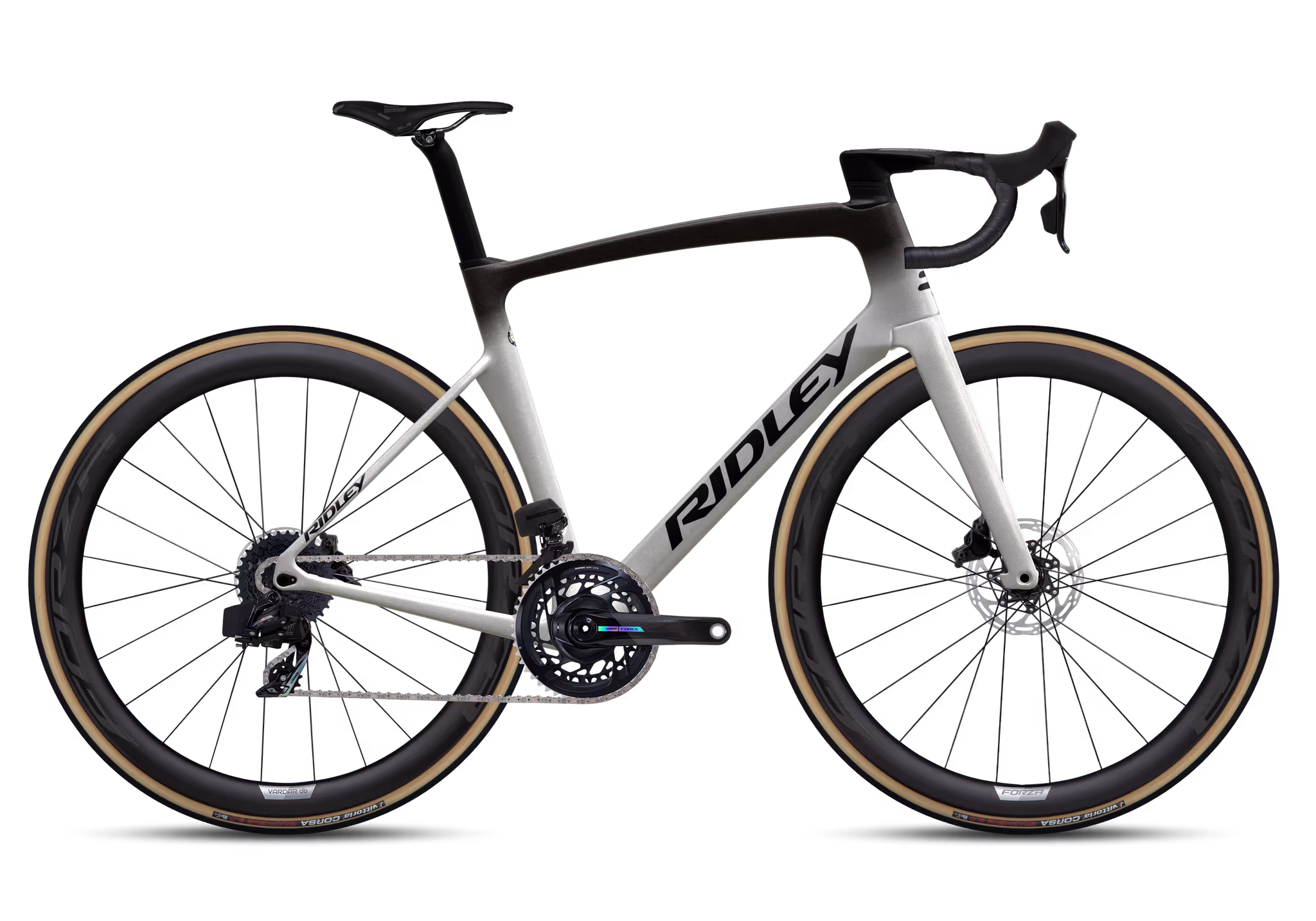 RIDLY-Noah Fast Disc