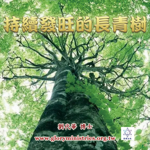 音频下载-持续发旺的长青树