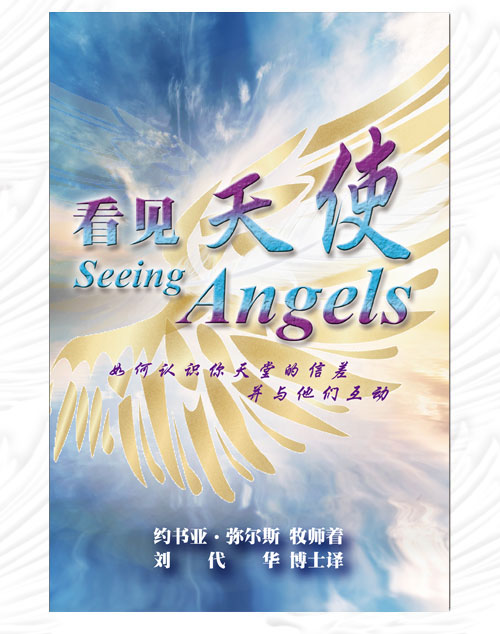 书籍-看见天使