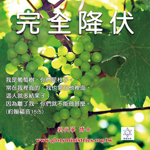 音频下载–完全降伏