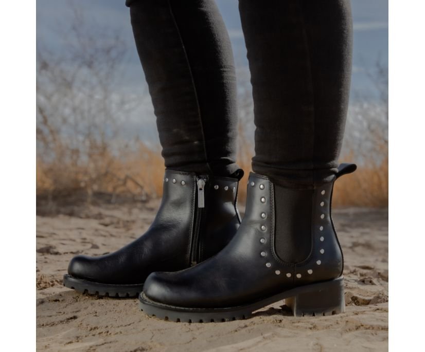 Women's Ashby Pull On