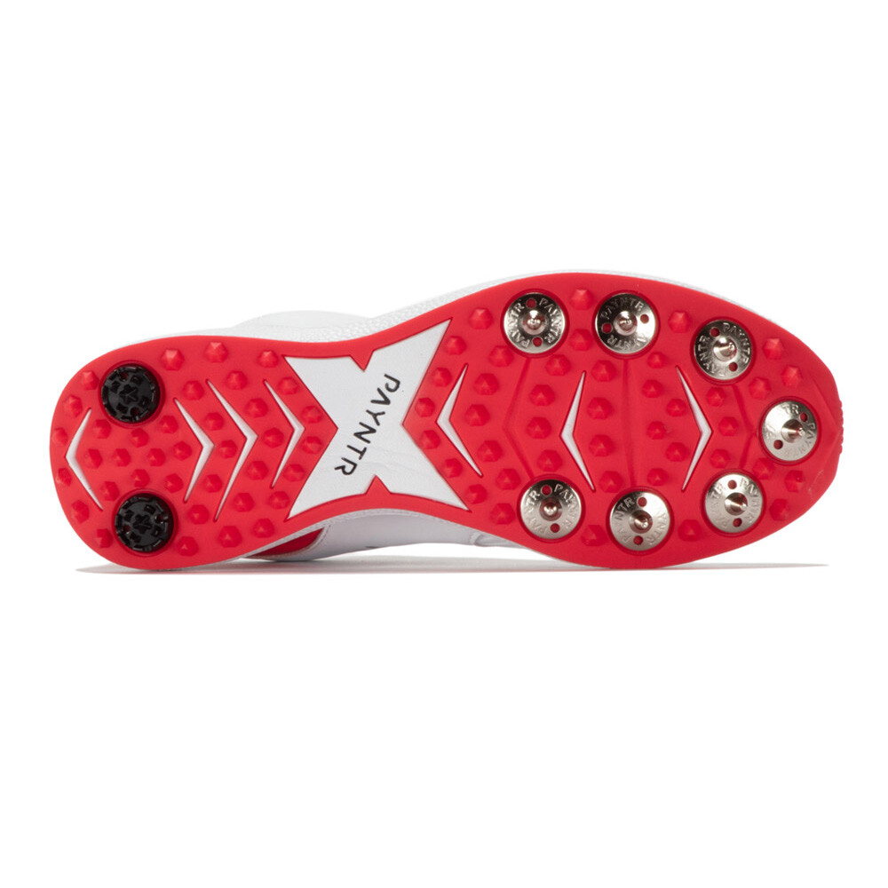 Payntr V Cricket Spikes