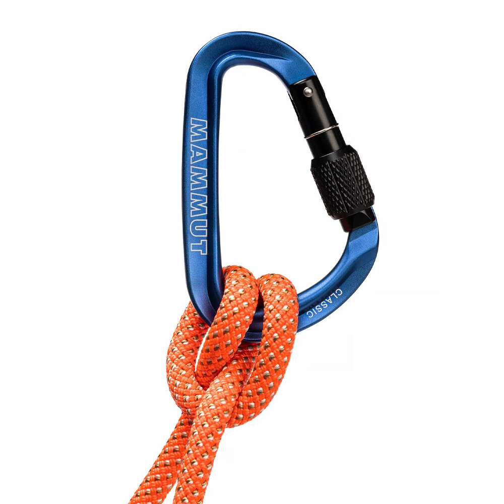 Mammut Classic HMS Screwgate Carabiner - SS25