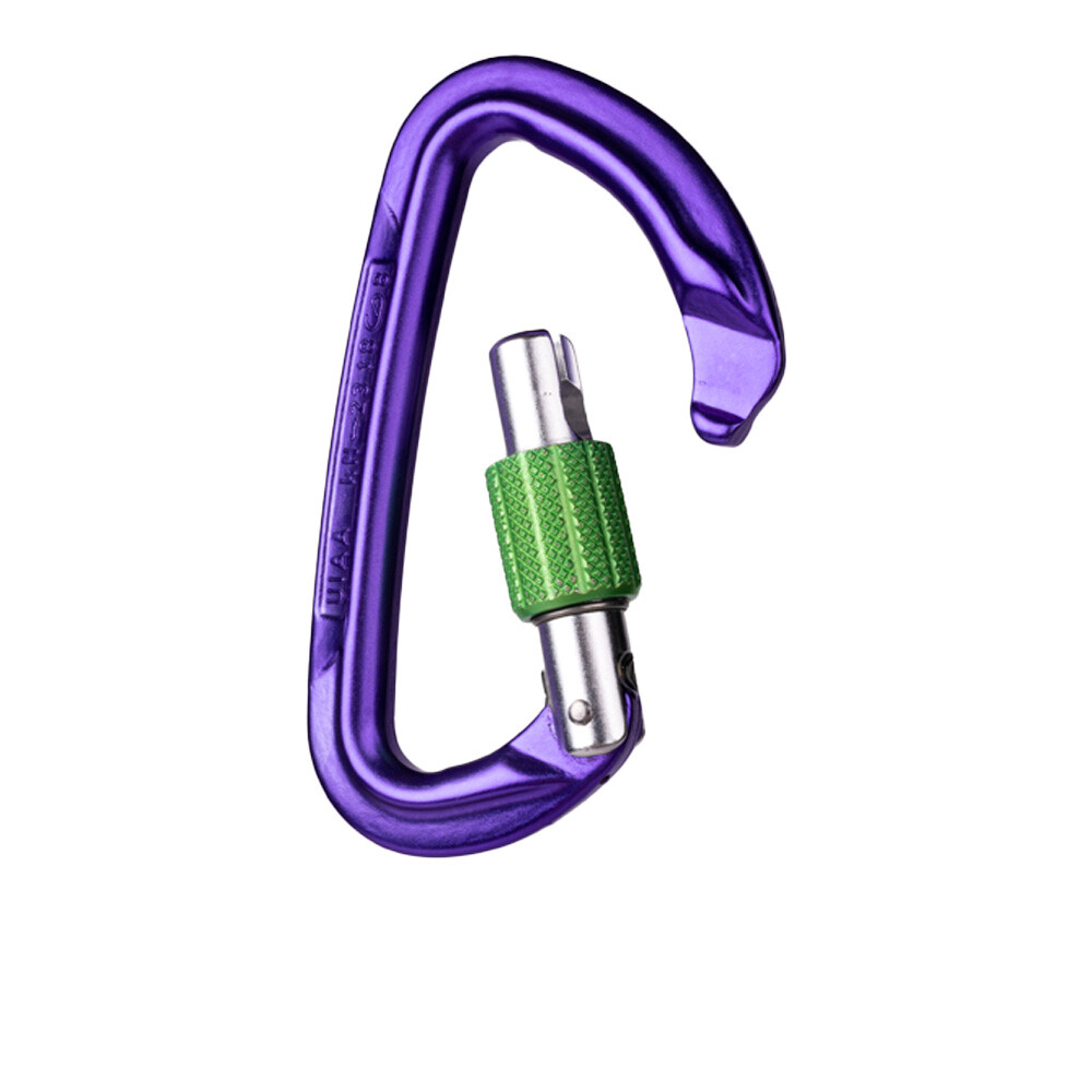 Wild Country Session Screw Gate Carabiner - SS25