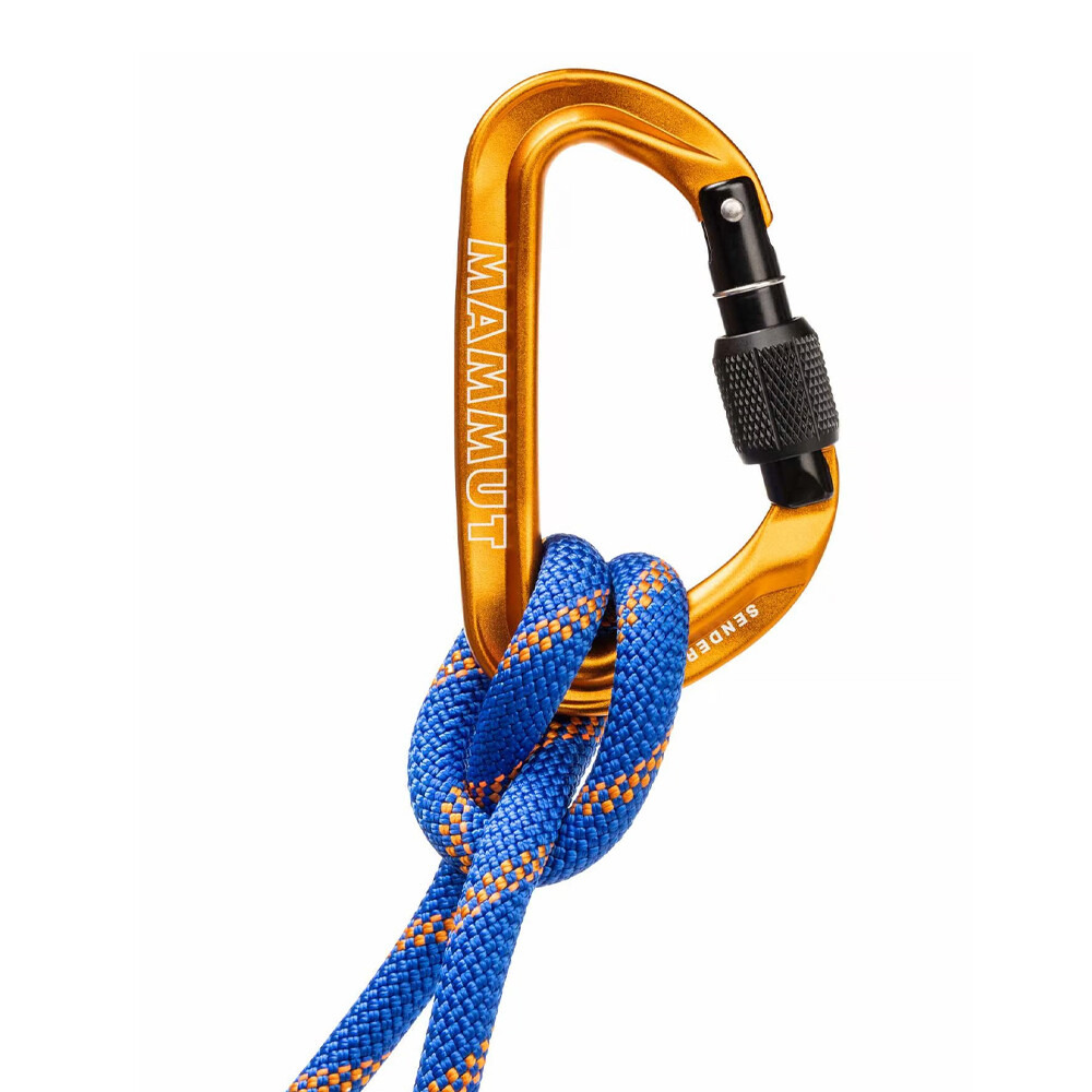 Mammut Sender Screwgate Carabiner - SS25